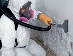 Best Water Damage & Mold Remediation  in Yellow Springs, OH